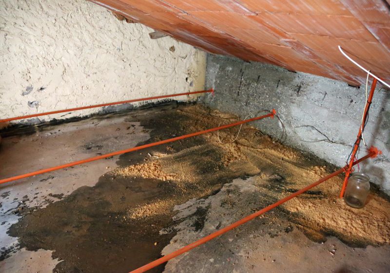 Ceiling Leak Repair Service in Littleton, CO