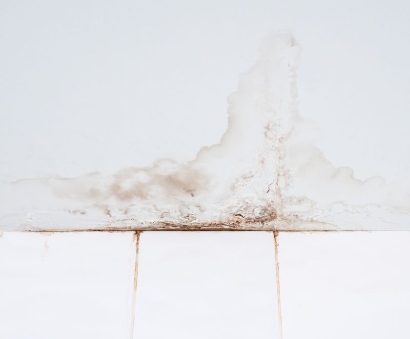 Leaking Ceiling Repair in Conroe, TX
